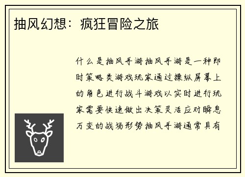 抽风幻想：疯狂冒险之旅